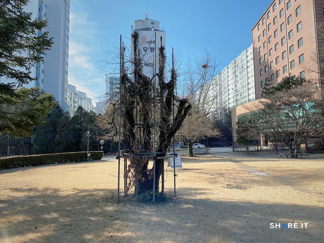 공간 사진