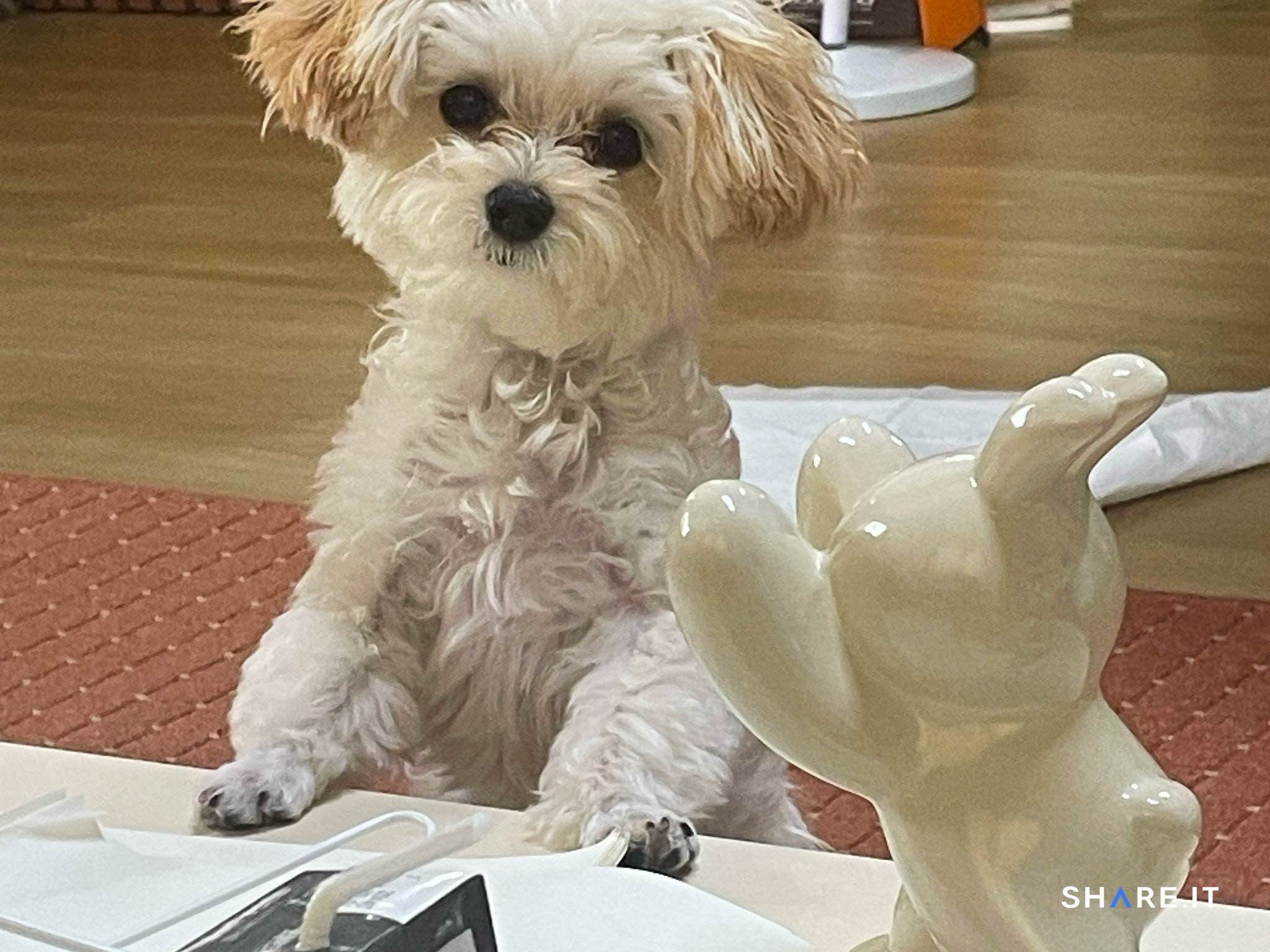 공간 사진