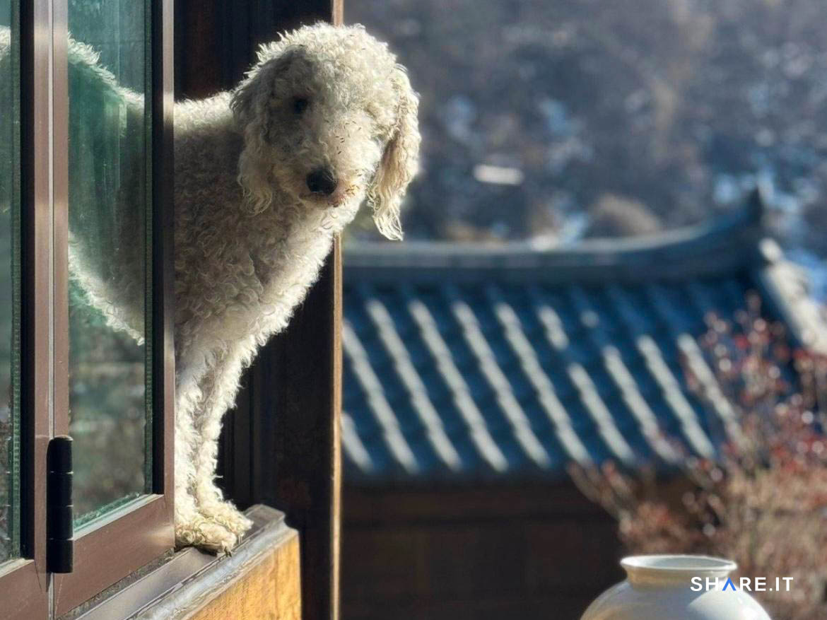 공간 사진