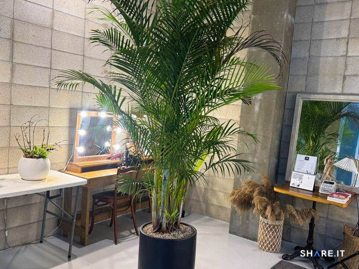 공간 사진